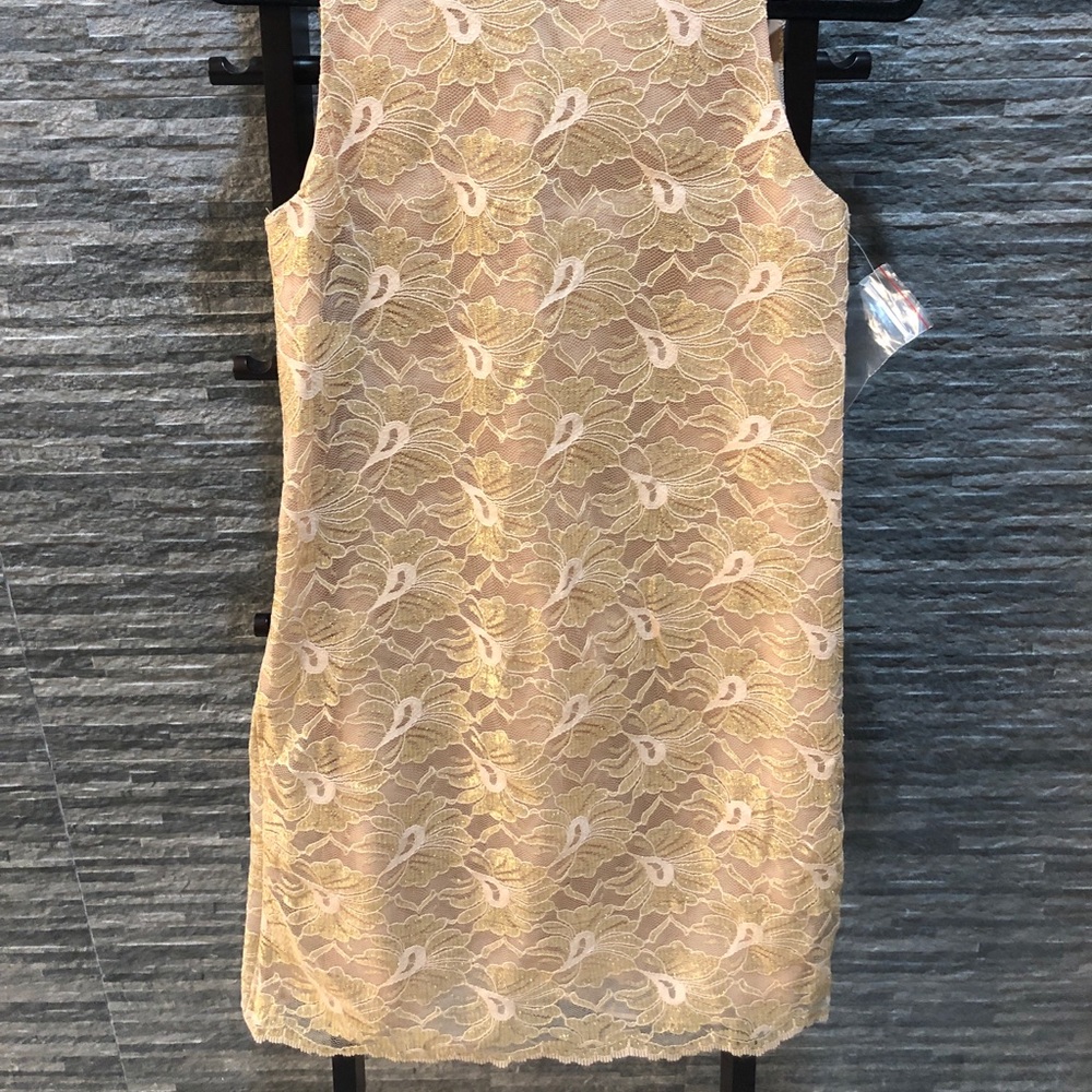 Ann Taylor Gold Lace Dress - Picture 7 of 8